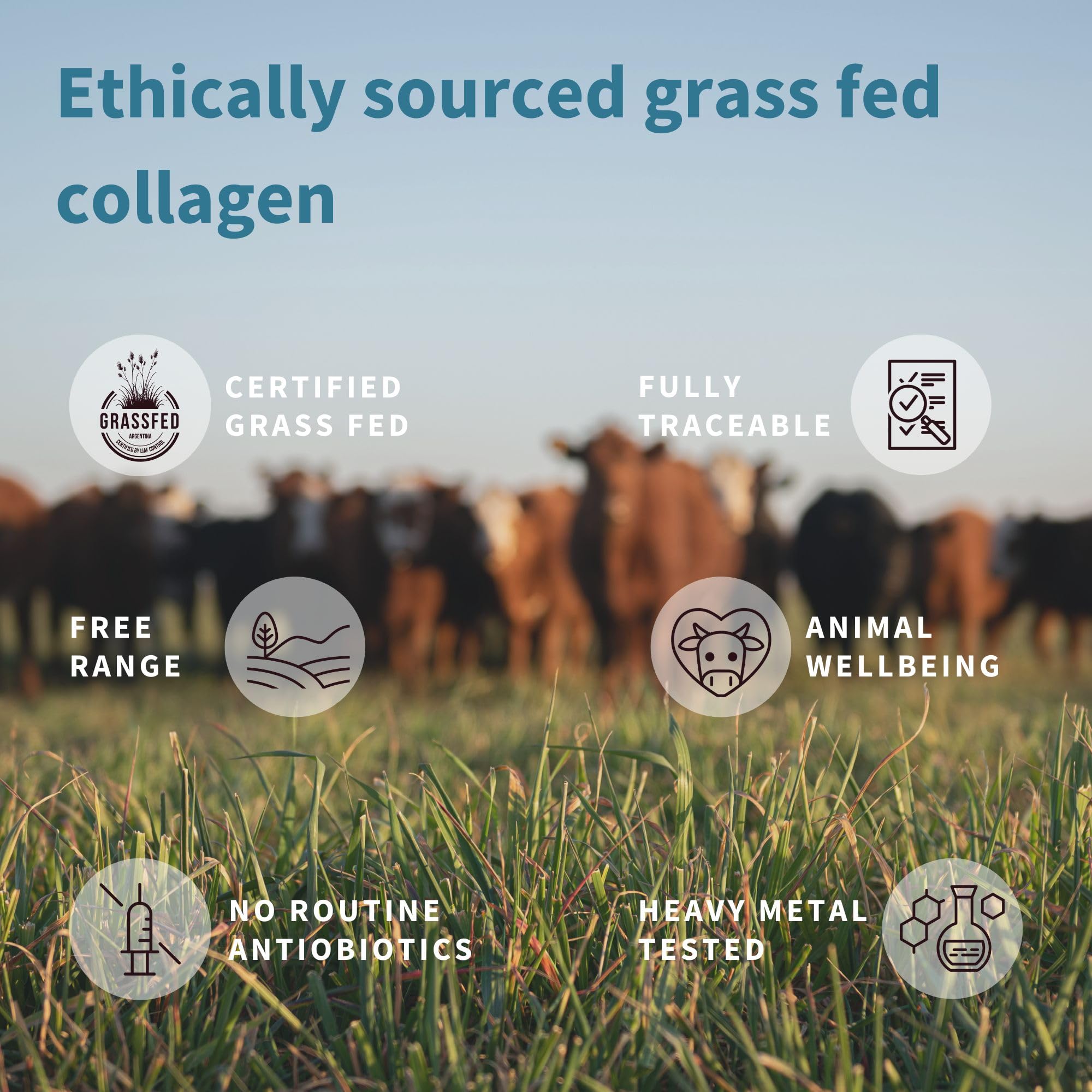 Advanced Hydrolysed Collagen Peptides, 100% Grass Fed & Ethically Sourced